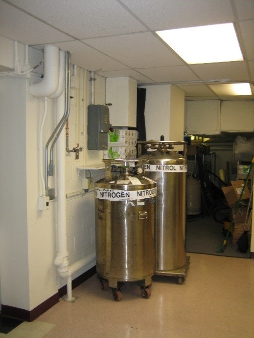 Large stainless steel pressurized cryogen dewars on wheels