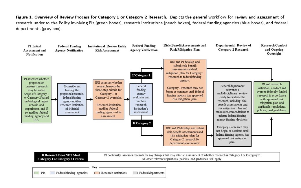 DURC PEPP Flow Chart