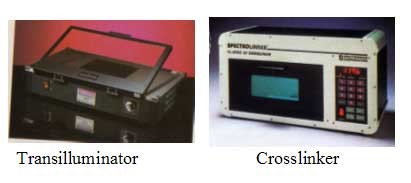 Two common pieces of lab equipment with UV - a UV light box transilluminator and a crosslinker that resembles a kitchen microwave oven
