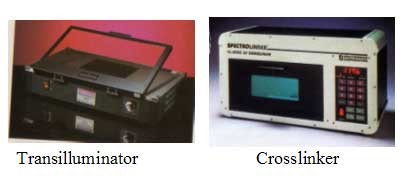 UV-Box with UVC Radiation