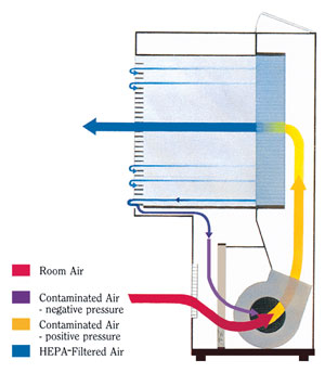 laminar flow bench