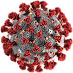 coronavirus Image